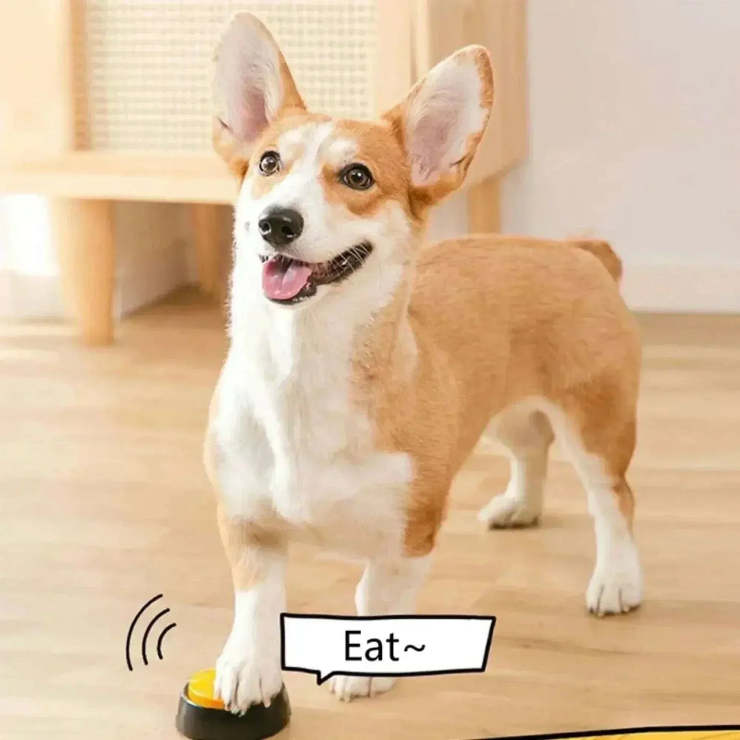 Voice Recording Button for Pet Training Buzzer