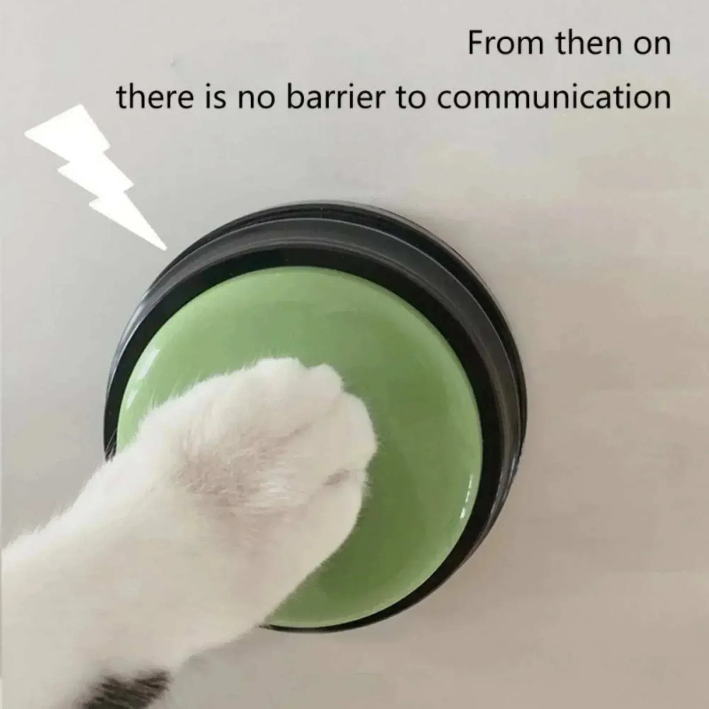 Voice Recording Button for Pet Training Buzzer
