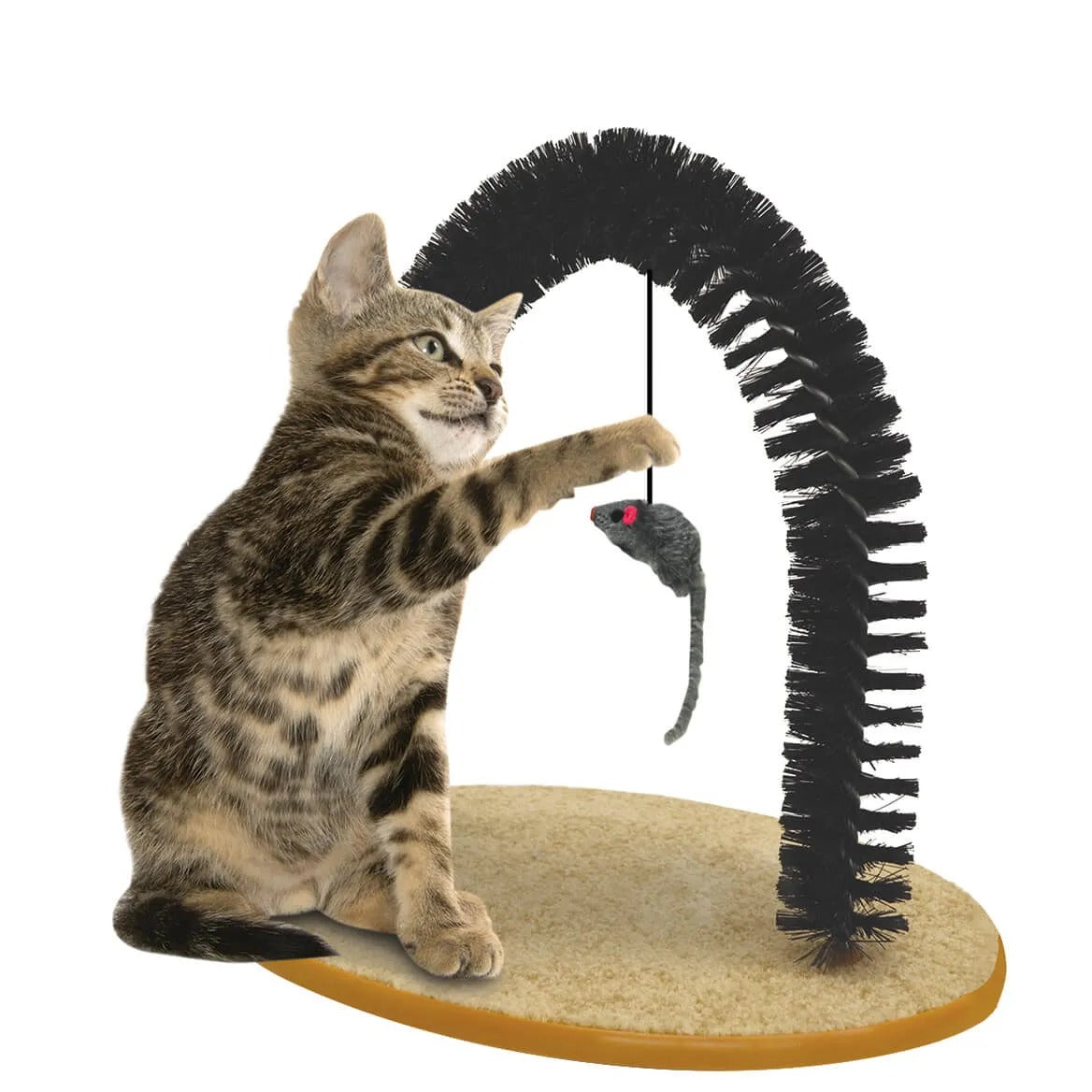 Cat Scratching Brush, Cat Hair Removal Rubbing Brush, Arch Shape Cat Self Grooming Brush, Cat Massager Scratcher