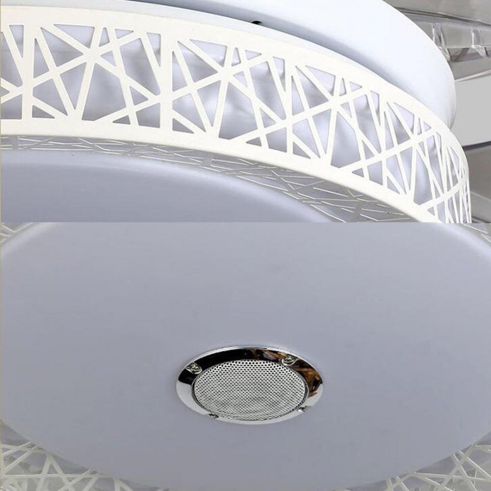 Colorful LED Bluetooth Music Fan Chandelier DS-LX76