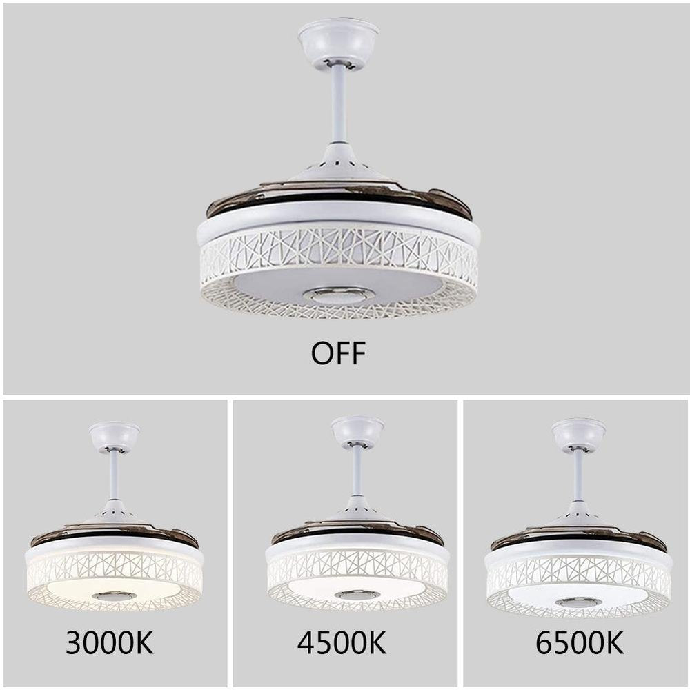 Colorful LED Bluetooth Music Fan Chandelier DS-LX76