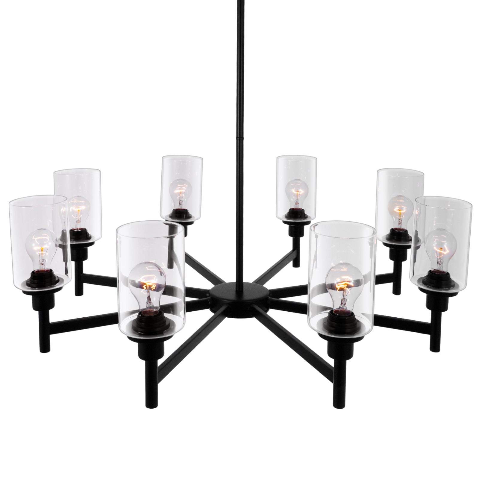 Black Clear Glass Shade Pendant Light DS-DY59