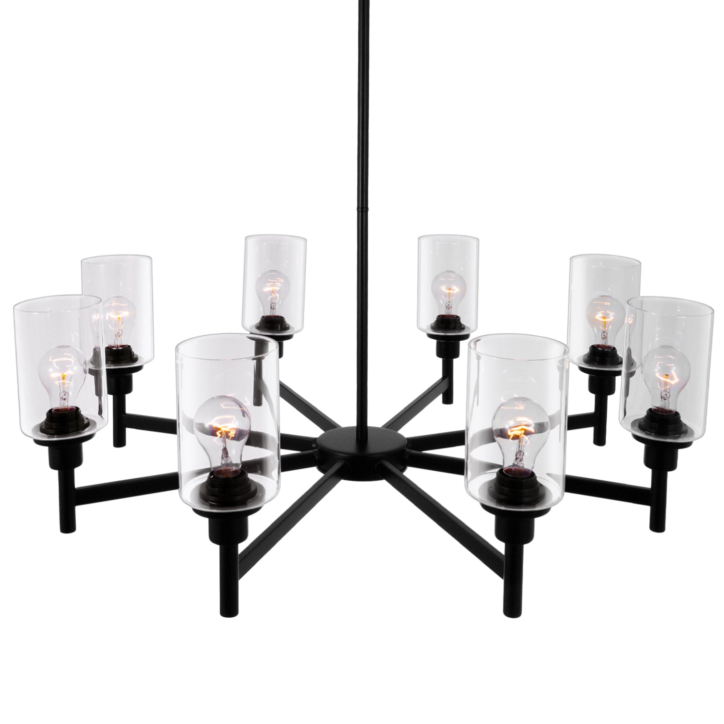 Black Clear Glass Shade Pendant Light DS-DY59