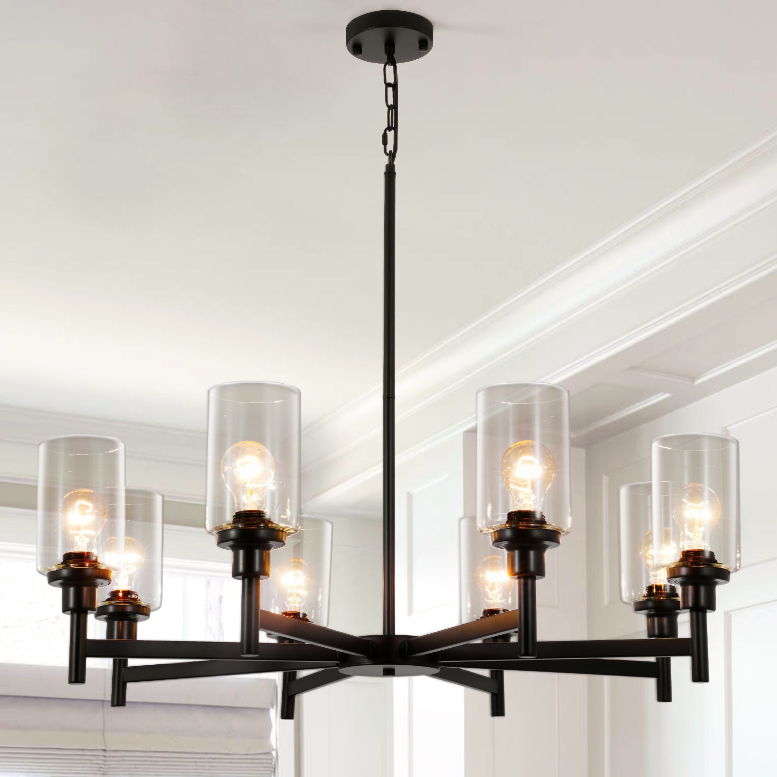 Black Clear Glass Shade Pendant Light DS-DY59