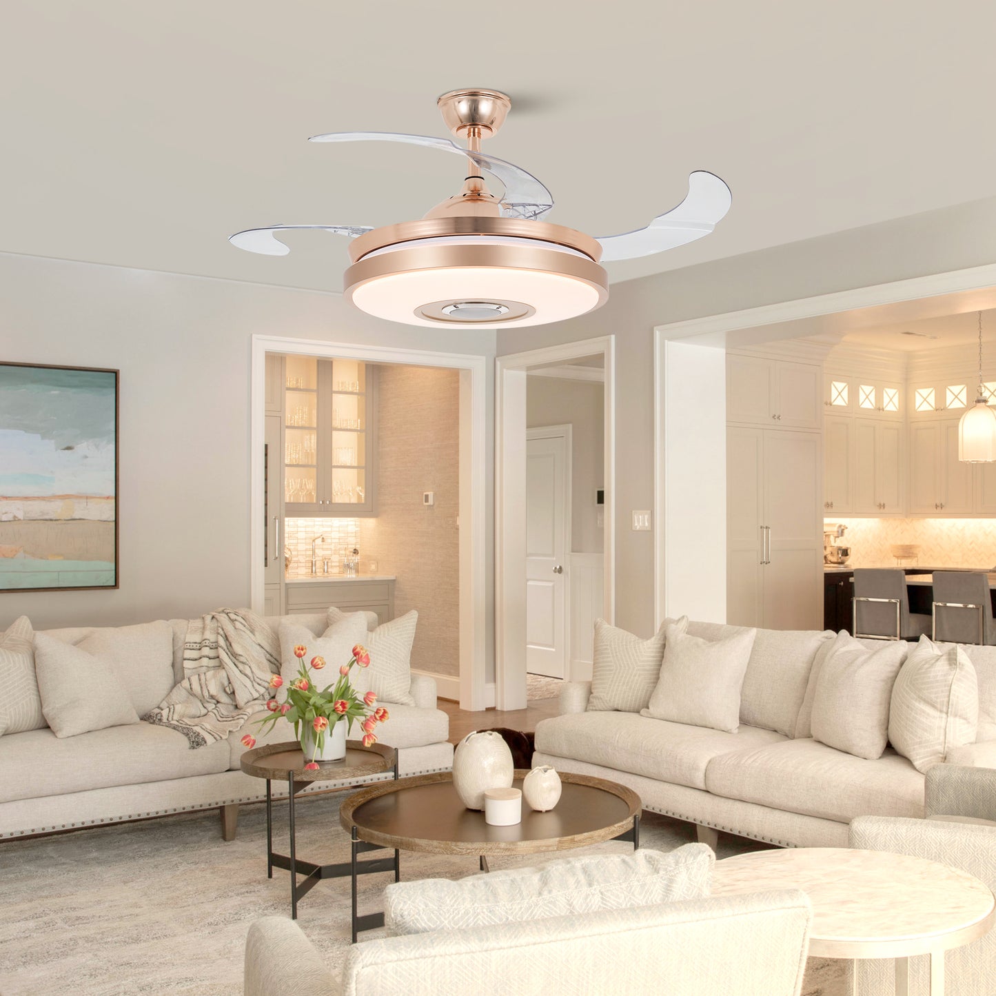 Bluetooth Speaker Seven Color Dimming Fan Chandelier DS-LN110