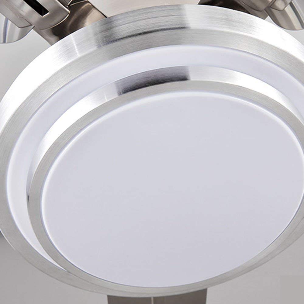 48 Inch 5 Reversible Stainless Steel Blades Remote Three Speeds and Color Changes Lighting Fixture DS-LN124