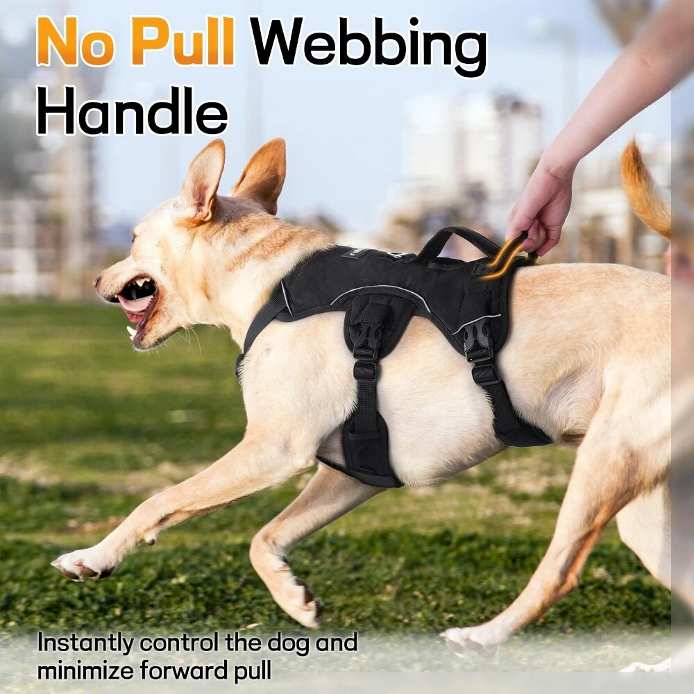 Rabbitgoo Escape-Proof Dog Harness with Handle, Reflective & Adjustable for Small/Medium Dogs-EIM435