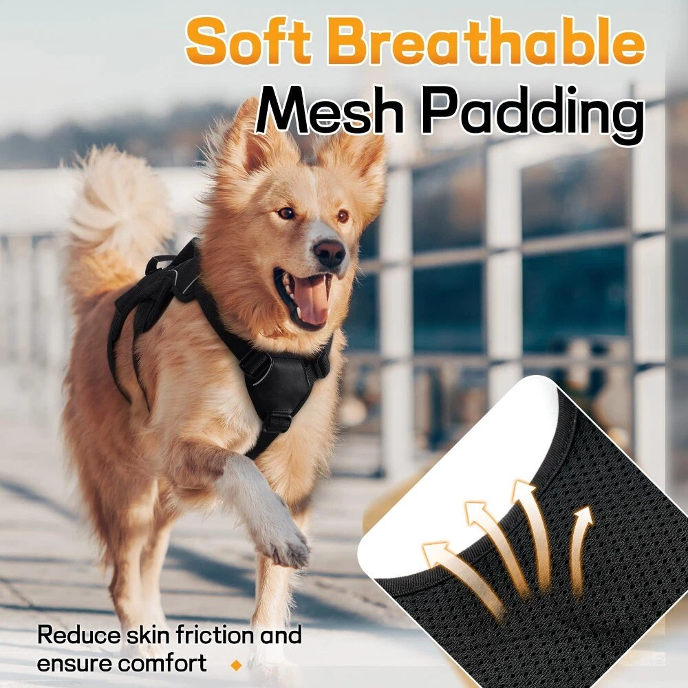 Rabbitgoo Escape-Proof Dog Harness with Handle, Reflective & Adjustable for Small/Medium Dogs-EIM435